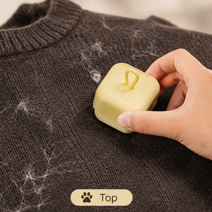 Mini Reusable Pet Hair Remover